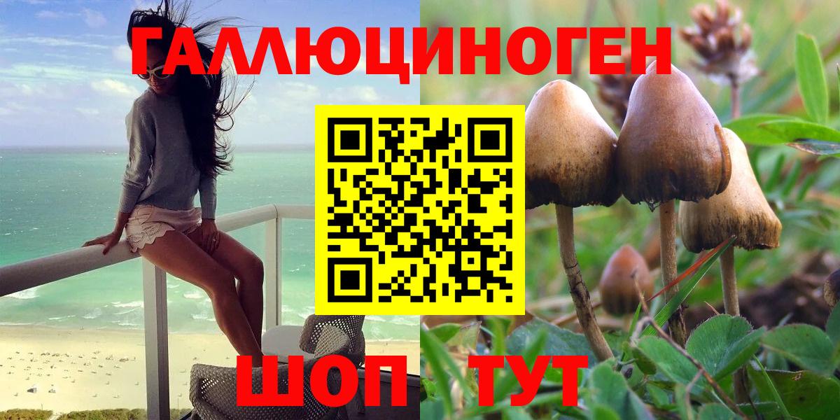 цена наркотик  Галлюциногенные грибы Psilocybe  Вход с VPN  Среднеуральск 